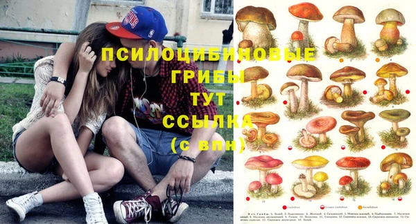 каннабис Алексин