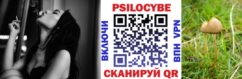 Псилоцибиновые грибы Psilocybe  кракен как зайти  Новоалтайск  что такое наркотик 